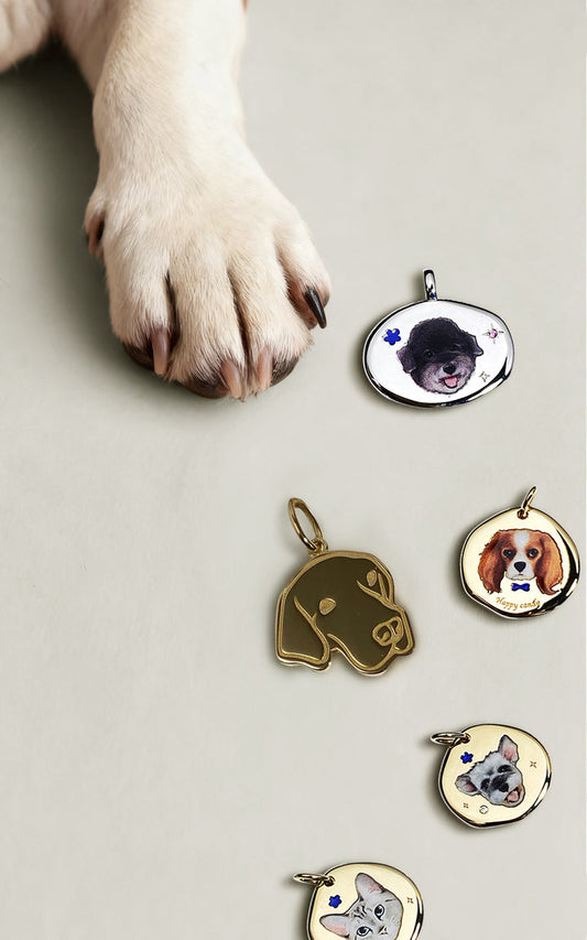 Custom Pet Portrait Engraved Necklace & Bracelet – Personalized Furry Friend Keepsake Jewelry